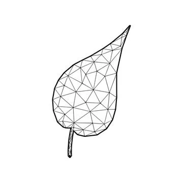 Leaf vector illustration in polygonal style, isolated on white background ... Foto stock