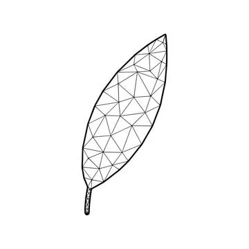 Leaf vector illustration in polygonal style, isolated on white background ... 스톡 사진