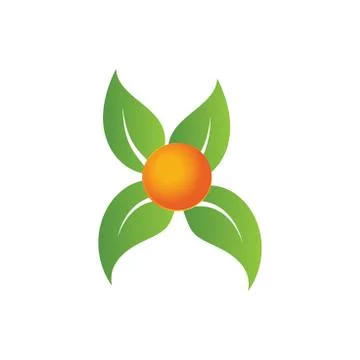 Leaf vector logo, Elements for eco and bio logos Stock Illustration