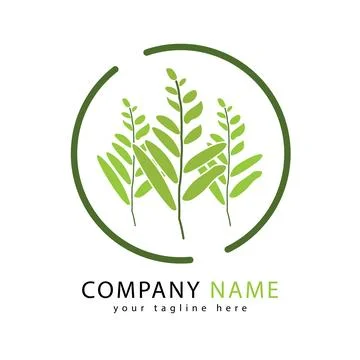 Leaf vector logo Stock Illustration