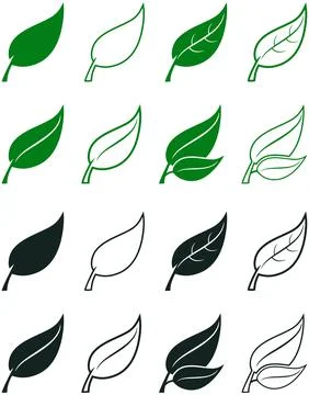 Leaf vector set in green and black. White isolated background. Stock Illustration