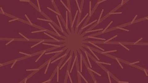 Leaf Vein Branch Mask Full Frame Transition Video stock 343707043