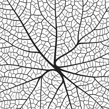 Leaf vein texture abstract background with close up plant leaf cells ornament Stock Illustration