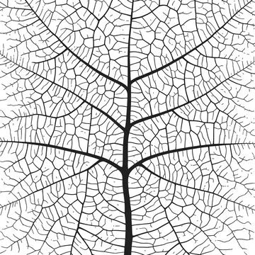 Leaf vein texture abstract background with close up plant leaf cells ornament イラスト素材