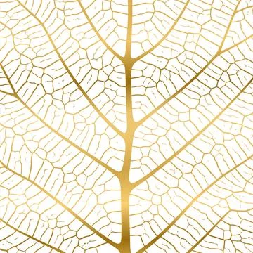 Leaf vein texture abstract background with close up plant leaf cells ornament Stock Illustration