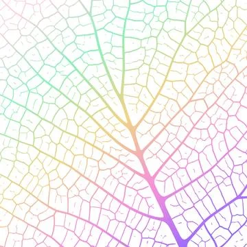 Leaf vein texture abstract background with close up plant leaf cells ornament Stock Illustration