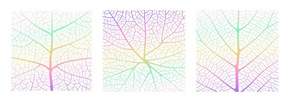 Leaf vein texture abstract background with close up plant leaf cells ornament Stock Illustration