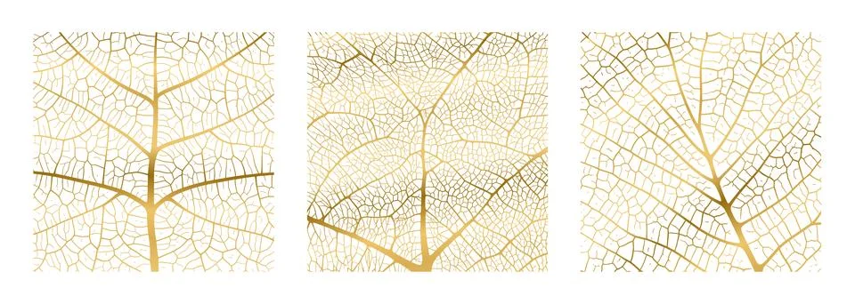 Leaf vein texture abstract background with close up plant leaf cells ornament Stock Illustration