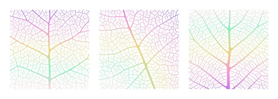 Leaf vein texture abstract background with close up plant leaf cells ornament Stock Illustration