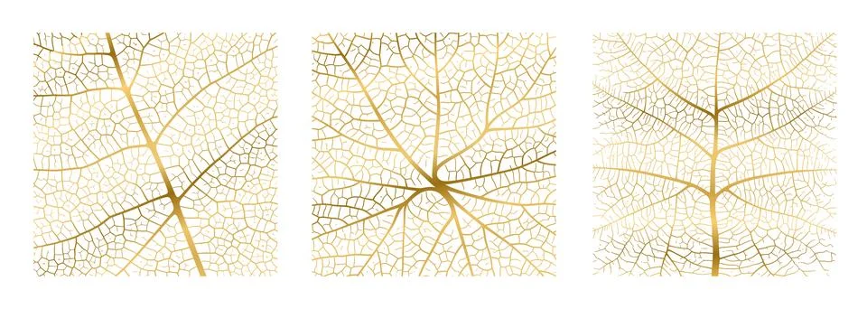 Leaf vein texture abstract background with close up plant leaf cells ornament Stock Illustration