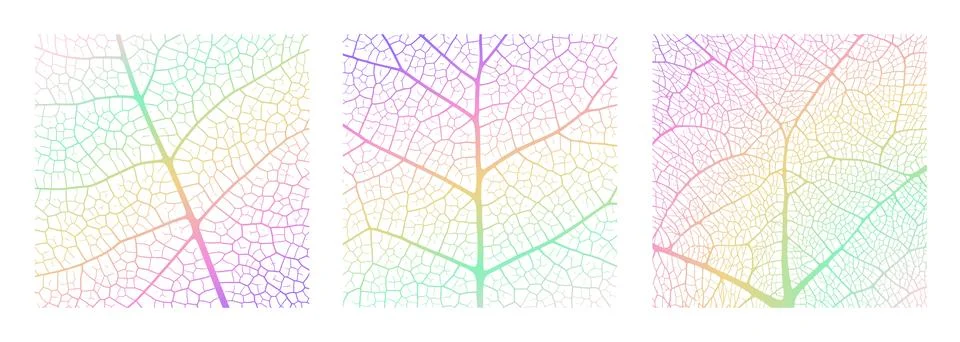 Leaf vein texture abstract background with close up plant leaf cells ornament Stock Illustration