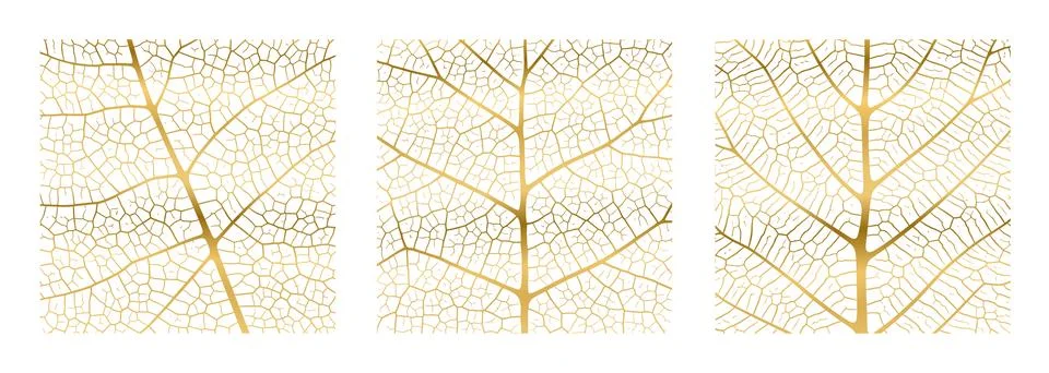 Leaf vein texture abstract background with close up plant leaf cells ornament Stock Illustration