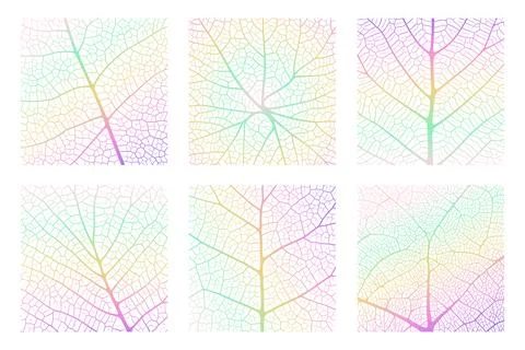 Leaf vein texture abstract background with close up plant leaf cells ornament Stock Illustration