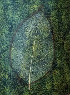 Leaf veins on a ceramic vase close up. Stock Photos