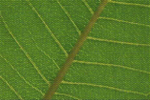 Leaf Veins Dotted Vector Illustration Иллюстрация