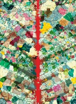 Leaf veins Stock Illustration