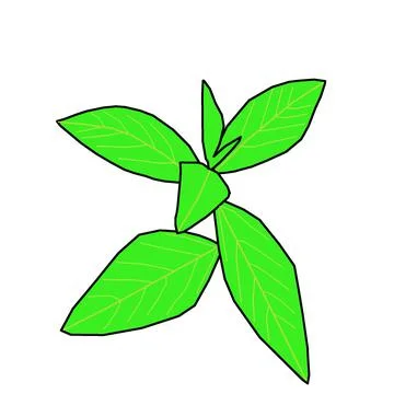 Leaf vektor Stock Illustration