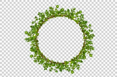 Leaf vine circle Isolate on transparent background PNG file Stock Photos