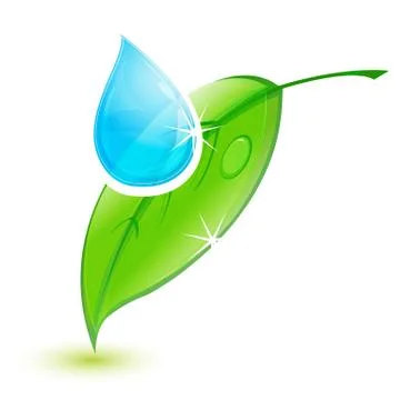 Leaf with water drop Stock Illustration