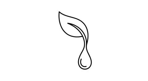 Leaf with a water drop Illustrazione stock