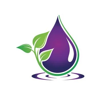 Leaf Water drop Logo Template Stock Illustration
