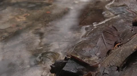 Leaf in water Stock Footage 47992359