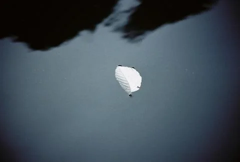 Leaf in water Stock Photos