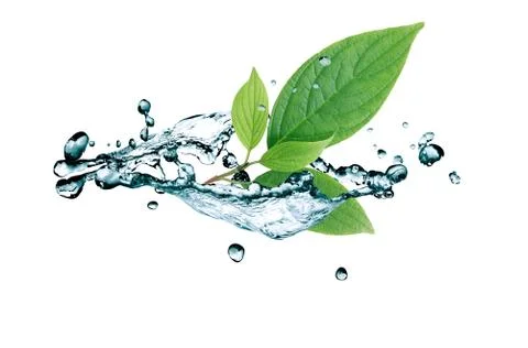 Leaf In Water Splash Stock Photos