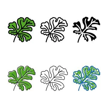 Leaf watermelon color icon vector variations Stock Illustration