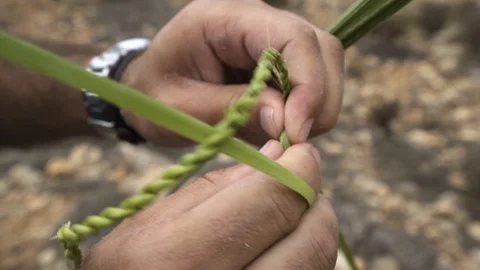 Leaf weaving Stock Footage 122150421