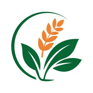 Leaf Wheat Logo Design Organic Agriculture Branding Stock-Illustration