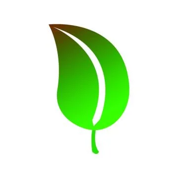 Leaf on white Stock Illustration