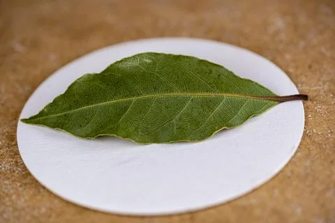 A leaf is on a white plate Stock-Fotos