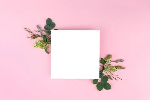 Leaf white for recording with floral composition Stock Photos