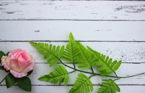 Leaf on white wood pattern background. Foto stock