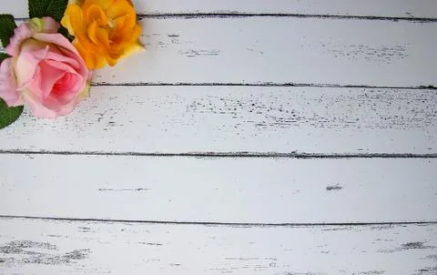 Leaf on white wood pattern background. Foto stock