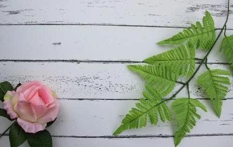 Leaf on white wood pattern background. Stock Photos