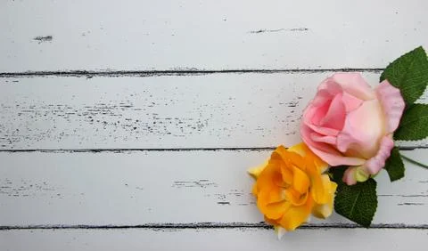 Leaf on white wood pattern background. 写真素材