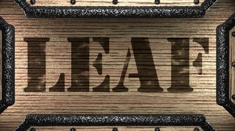 Leaf on wooden stamp Video stock 8657460