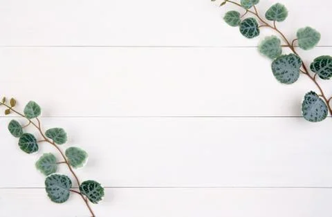 Leaf on wooden table, composition with top view, branch and leaves on wood de Foto stock