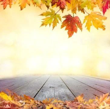 Leaf on wooden Table Stock Photos
