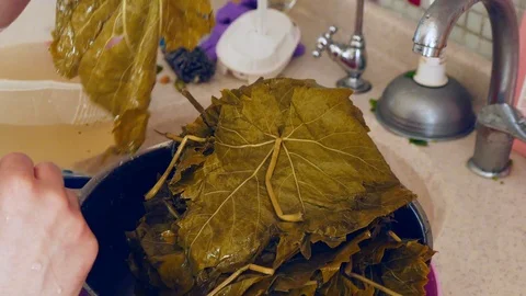 Leaf wrap dinner preparations, vine leaves, Stock Footage 111774790