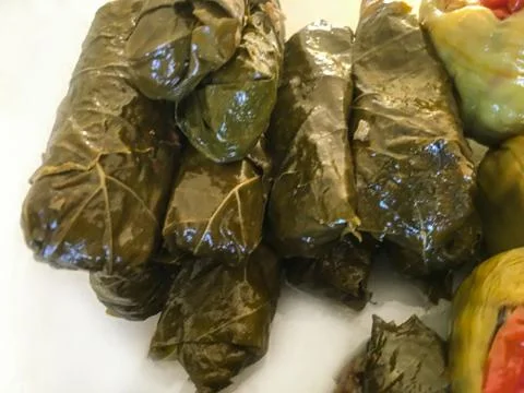 Leaf wrapping background unit isolate Stock Photos