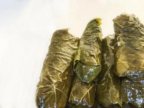 Leaf wrapping background unit isolate Stock Photos