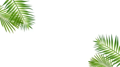 Leafanimated Stockbeeldmateriaal 229749803