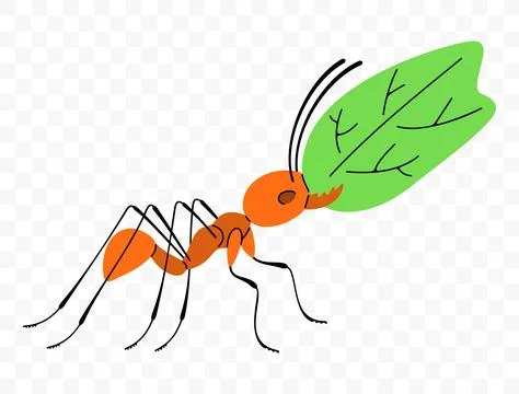 Leafcutter ant move along a trail with leaf, graphic design Stock Illustration