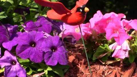 Leafcutter Bees in Flower Garden &amp; Tree Stump Vídeo Stock 146411538