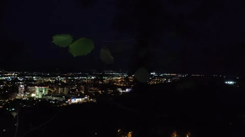 Leafes in the dark Video stock 286798394