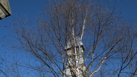 A leafless birch tree and a church dome on blue sky background. Video stock 103430154