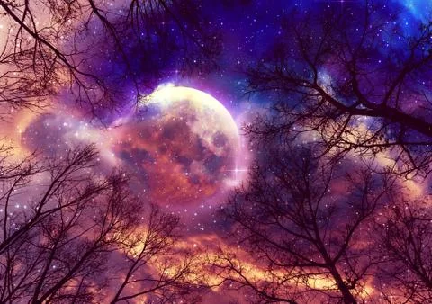 Leafless branches and full moon 스톡 일러스트